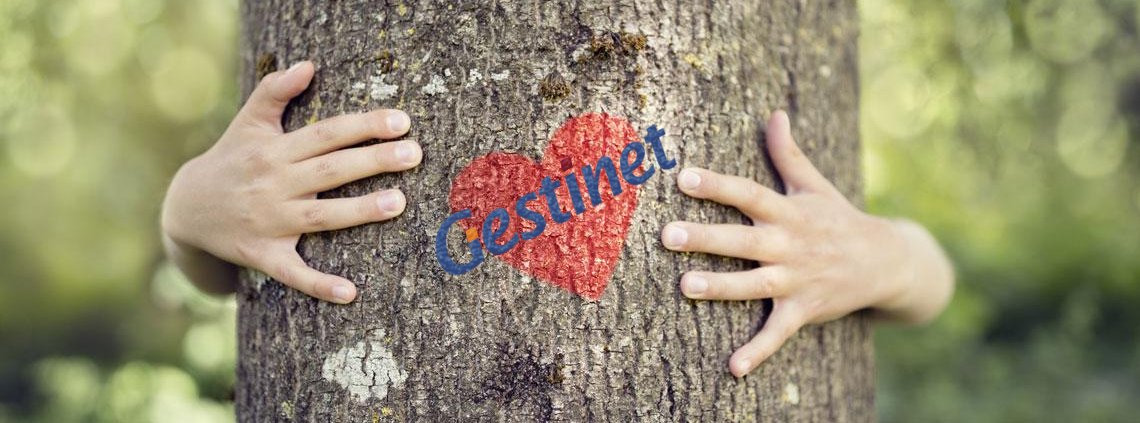 Posicionamiento google Gestinet Ecologico