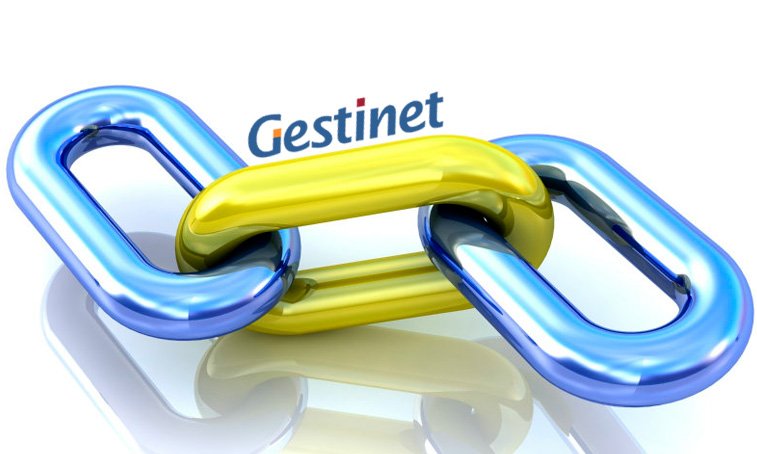 posicionament web