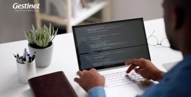 Manteniment de pàgina web