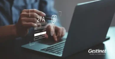 Empresa de serveis informàtics a València